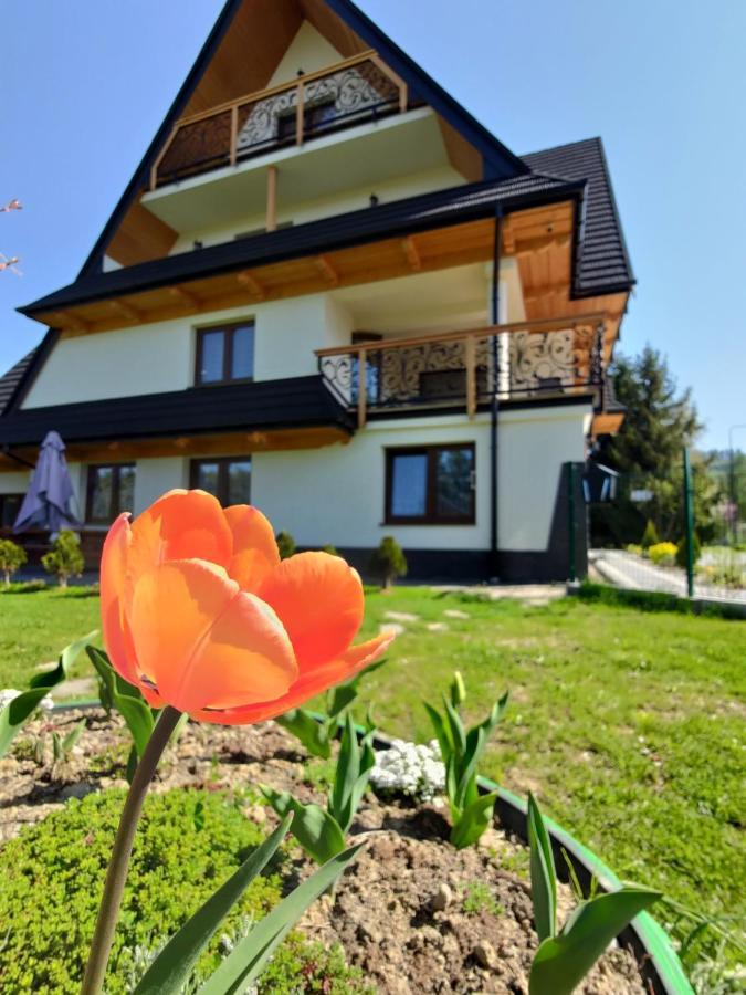 To Tu Apartment Czarna Gora Exterior photo